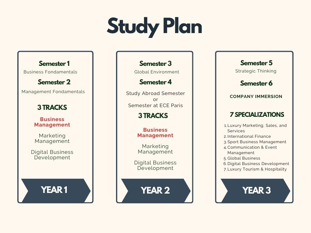 Study Plan Business track