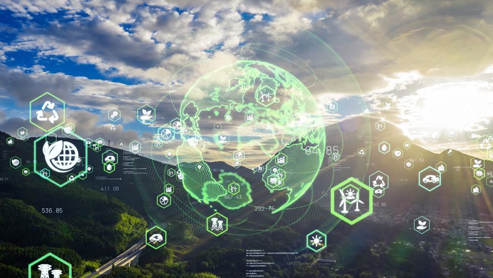 What studies for a career in sustainable development?