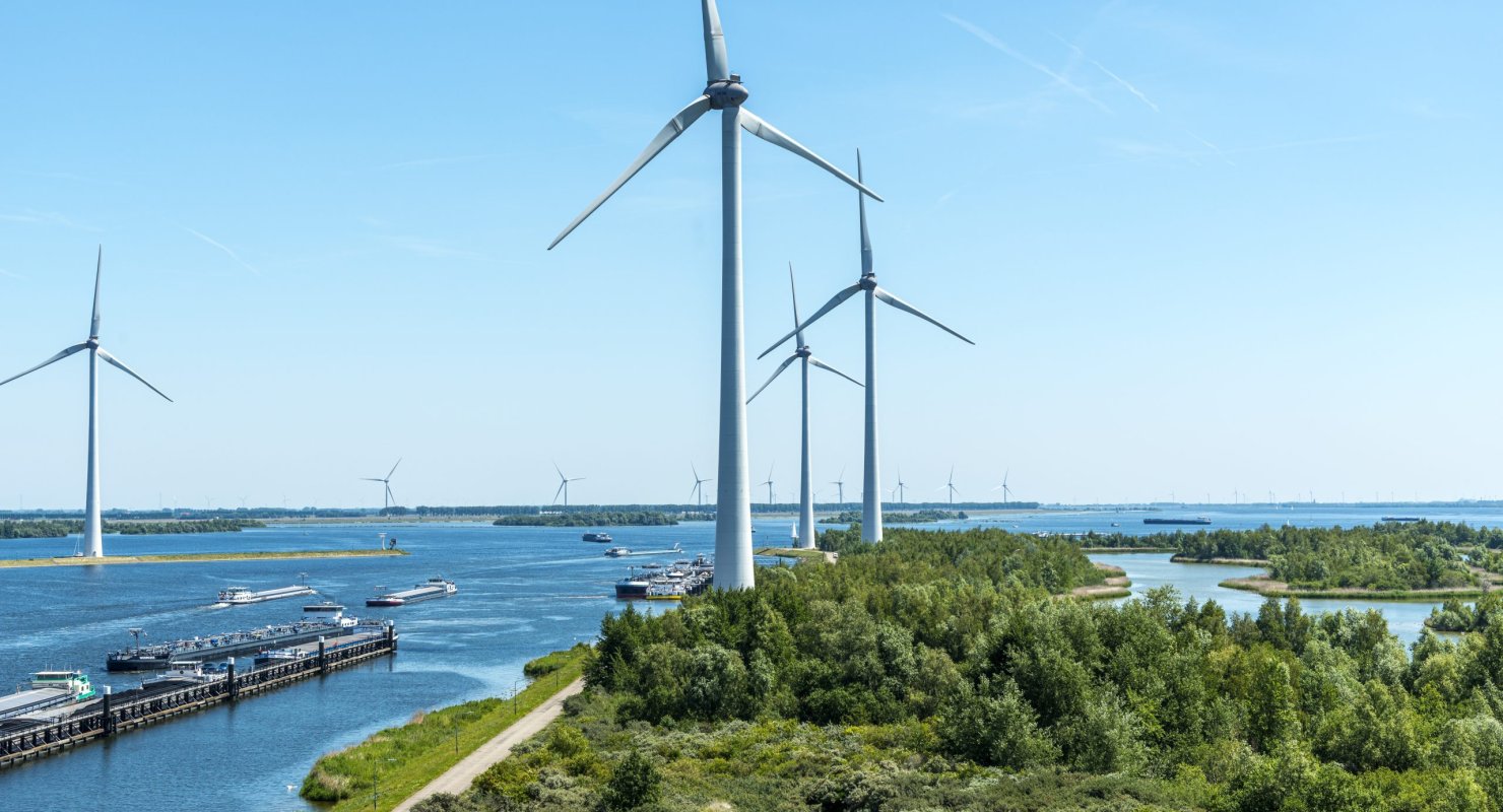 Why should you consider a career in Sustainability and Innovation?