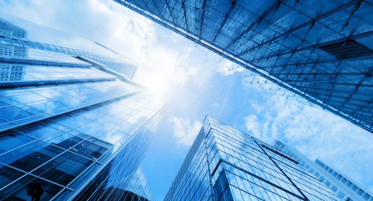 IUM MSc in International Management: Career Opportunities