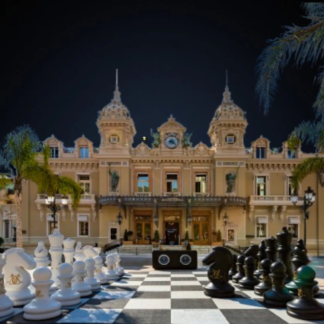 Msc International management