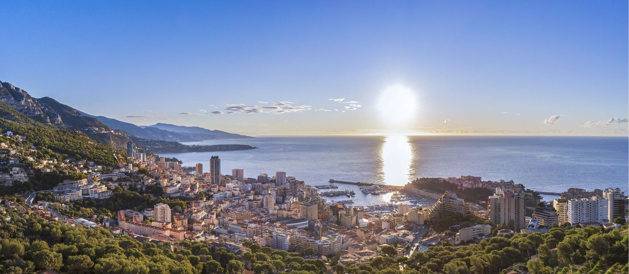 Monaco MBA Placement